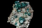 Large, Gemmy Dioptase Crystals On Calcite - Kazakhstan #78851-2